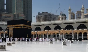 01jxcweqmbe0ctmev1tgca1pgb